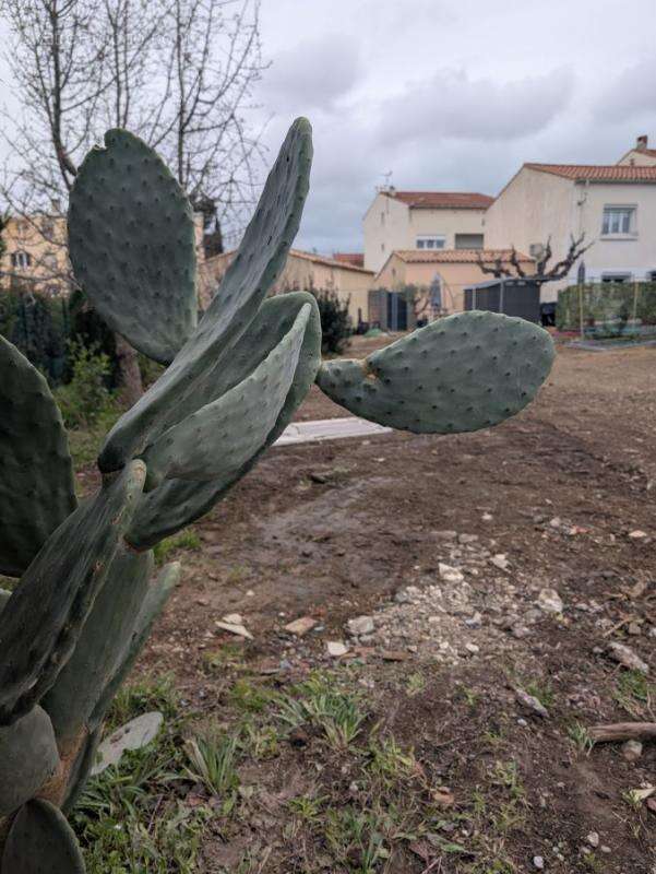 Terrain à NARBONNE