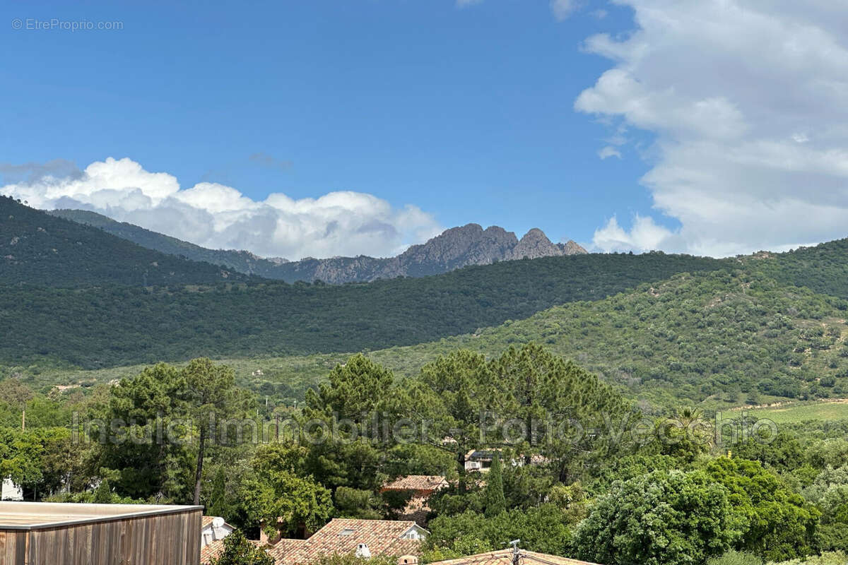 Appartement à ZONZA