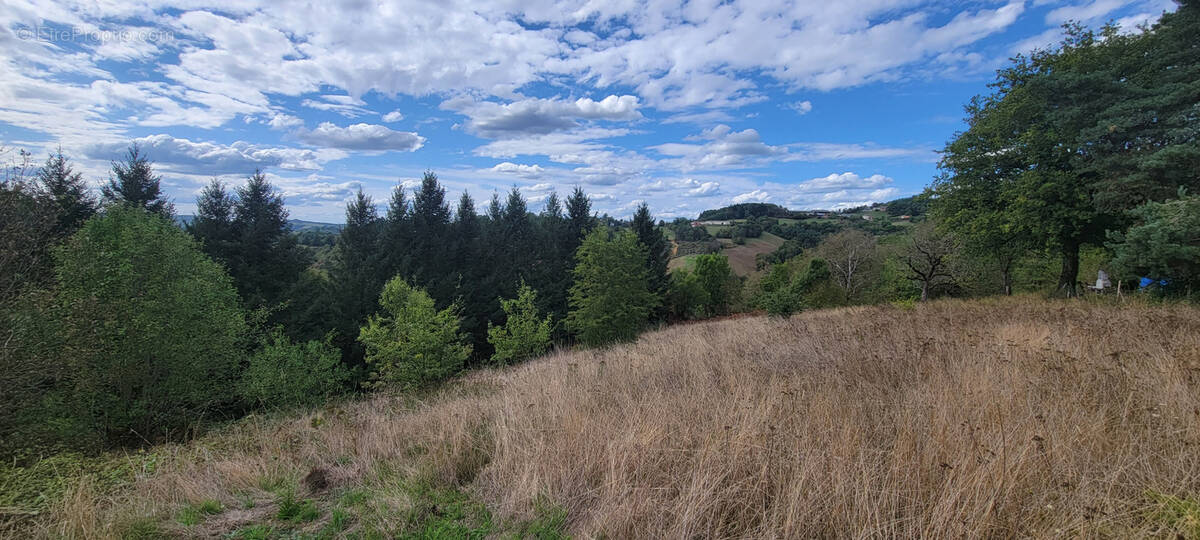 Terrain à BEYNAT