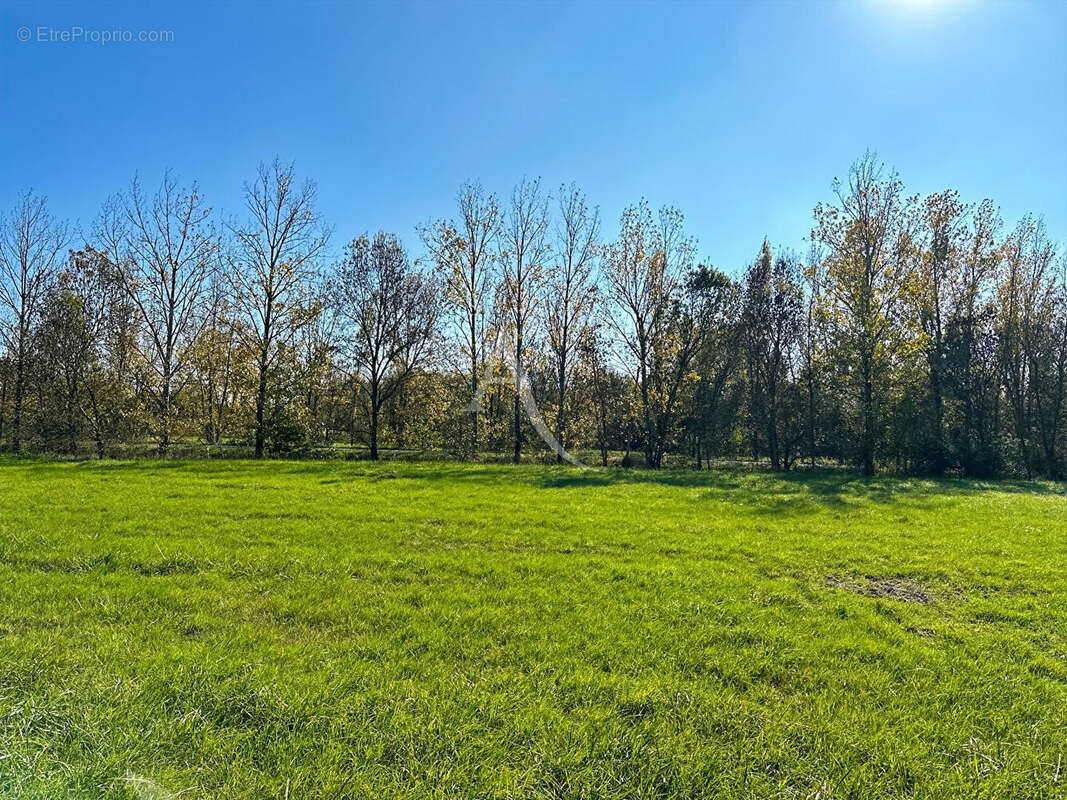 Terrain à LE PERRIER