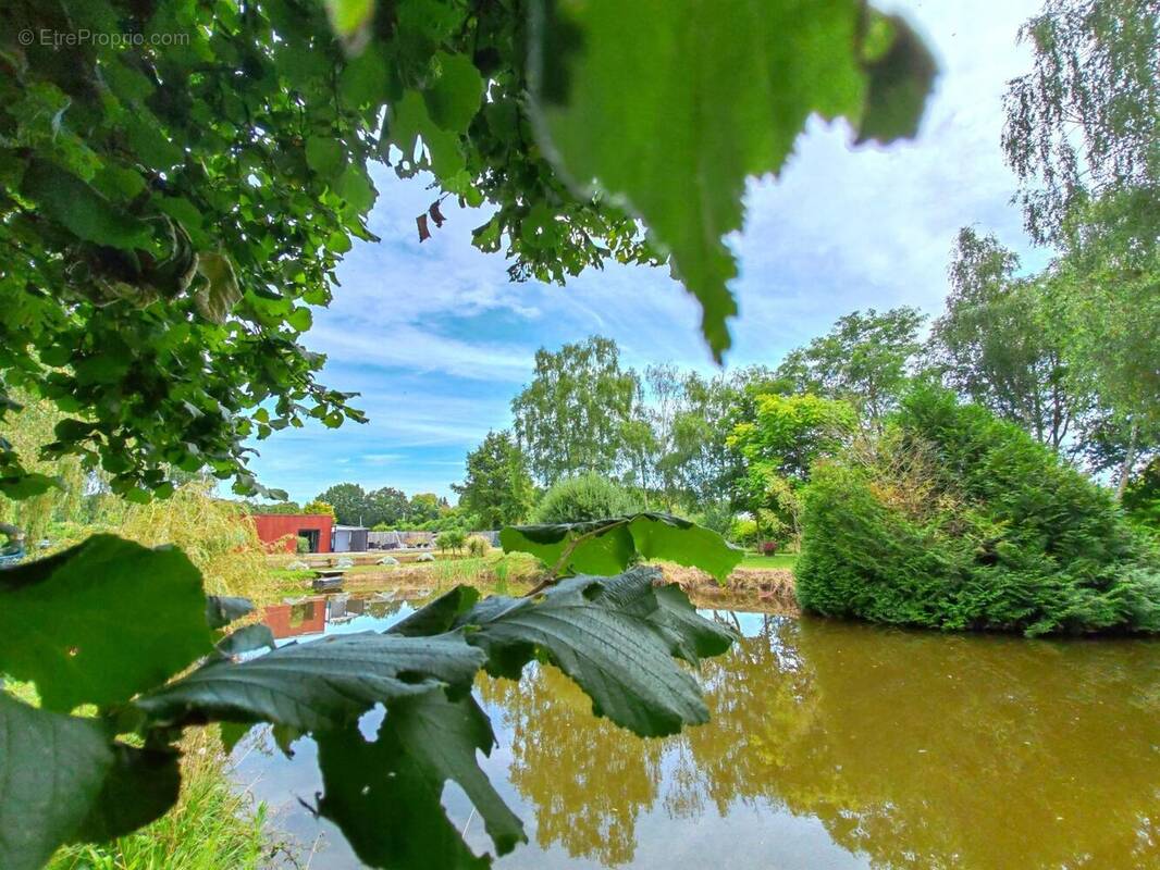 Photo 1 - Maison à BAUGE