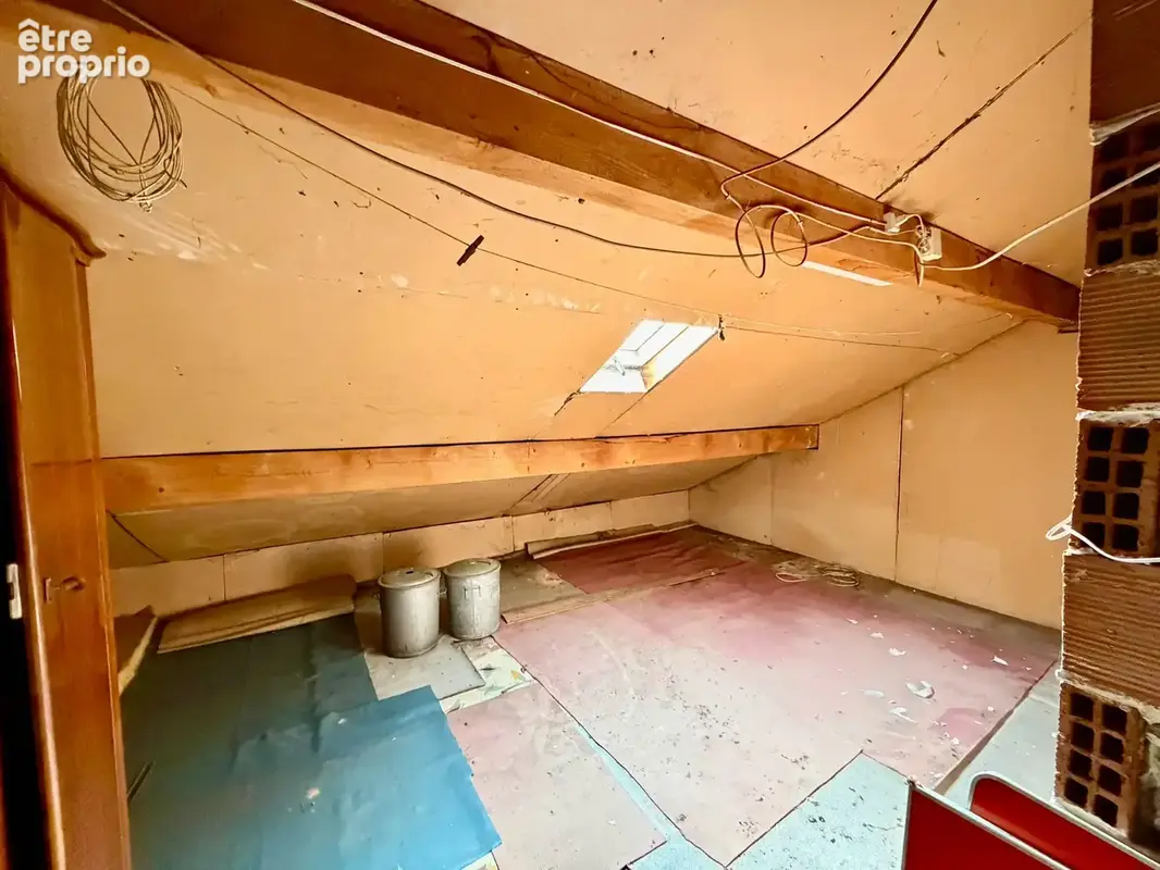 Vente pavillon sur sous-sol avec dépendance, sur terrain de 25,69 ares BREUCHES - photo 16