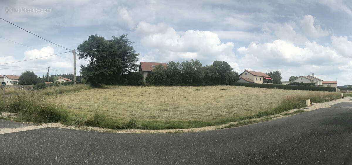 Terrain viabilisé - belle parcelle plate - montfaucon en velay - photo 2