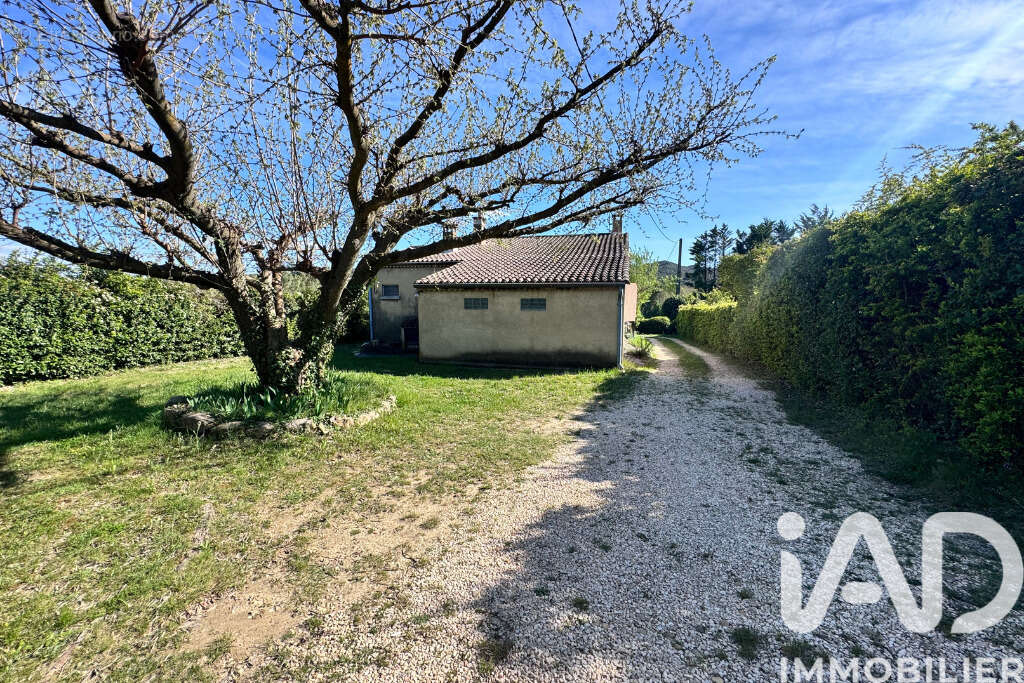 Photo 9 - Maison à PUJAUT