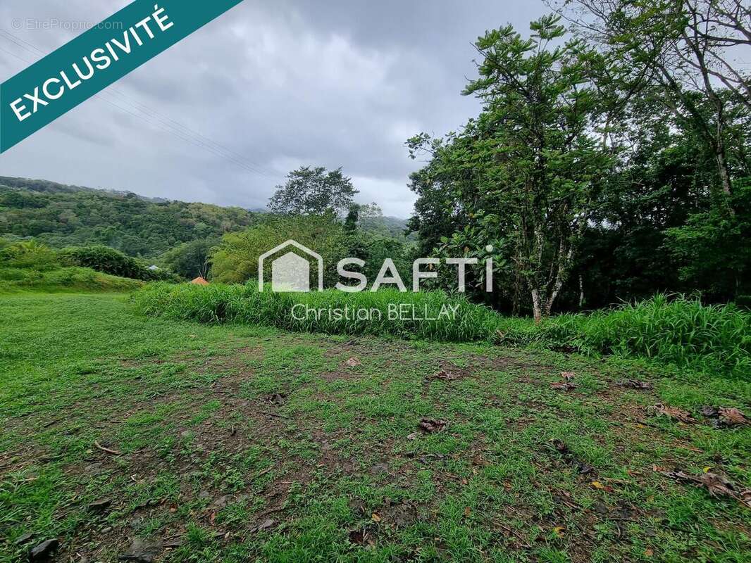 Photo 5 - Terrain à LE LAMENTIN