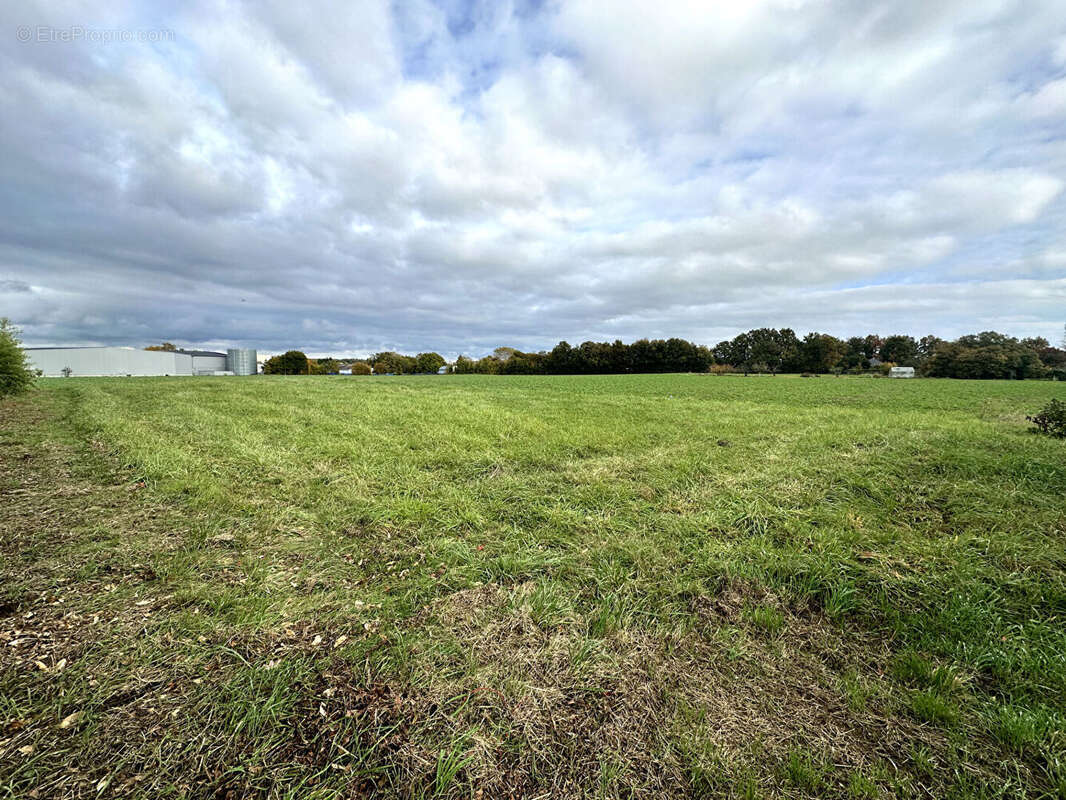 Terrain à SEICHES-SUR-LE-LOIR
