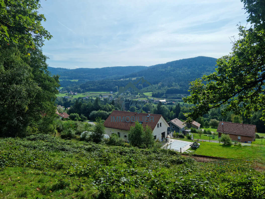 Terrain de 8385 m2 dont 3542m2 constructible - 15min de Gérardmer - photo 2