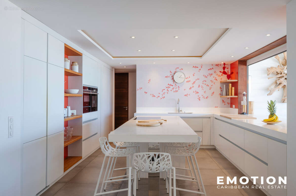 Maison à SAINT-MARTIN