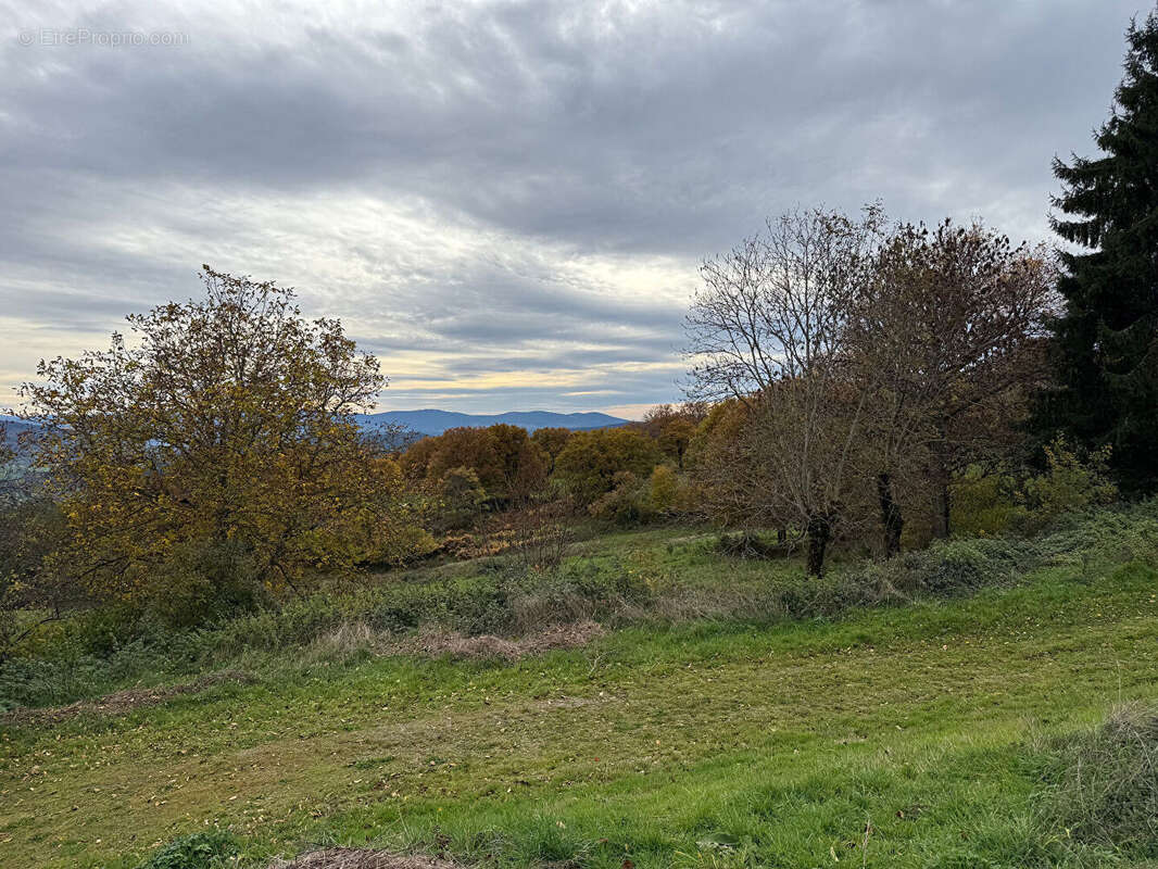 Maison à SAINT-JUST-EN-CHEVALET