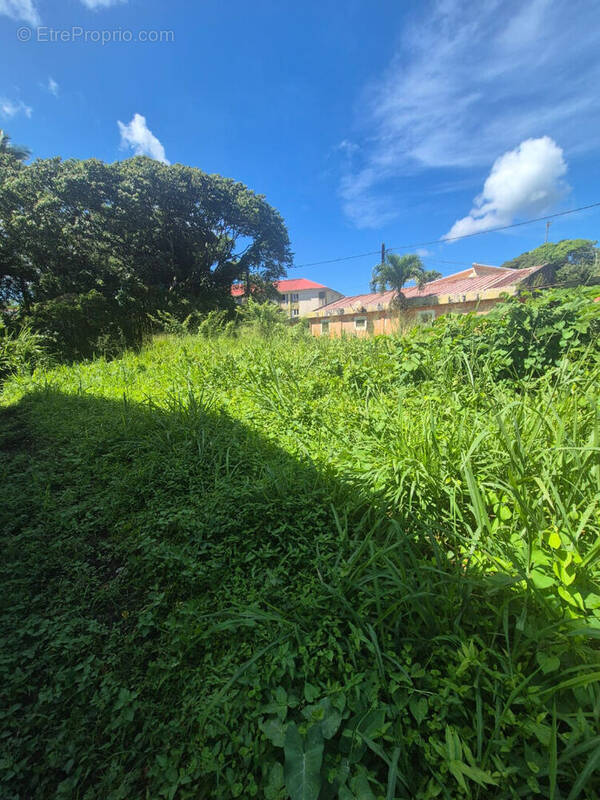 Terrain à LE MORNE-ROUGE