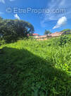 Terrain à LE MORNE-ROUGE