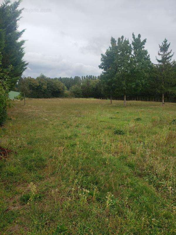 Terrain de 2166m2 - photo 2