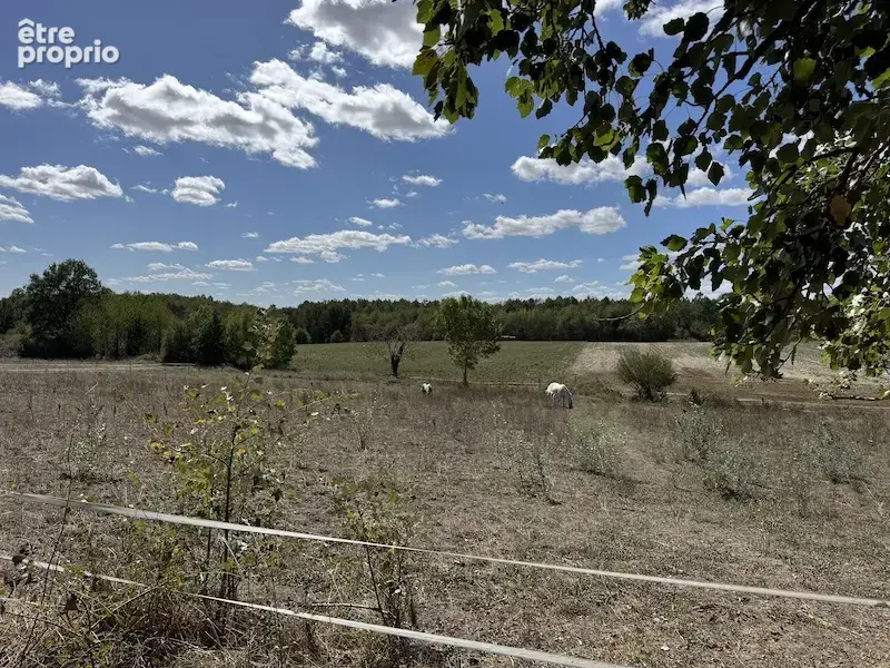 Maison indépendante avec 3.9ha de terrain, et des dépendances - photo 4