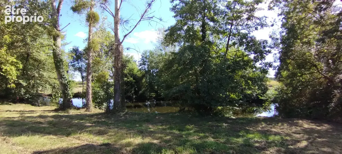 Terrain 1 539 m² à vendre à Martizay (36220) - photo 6