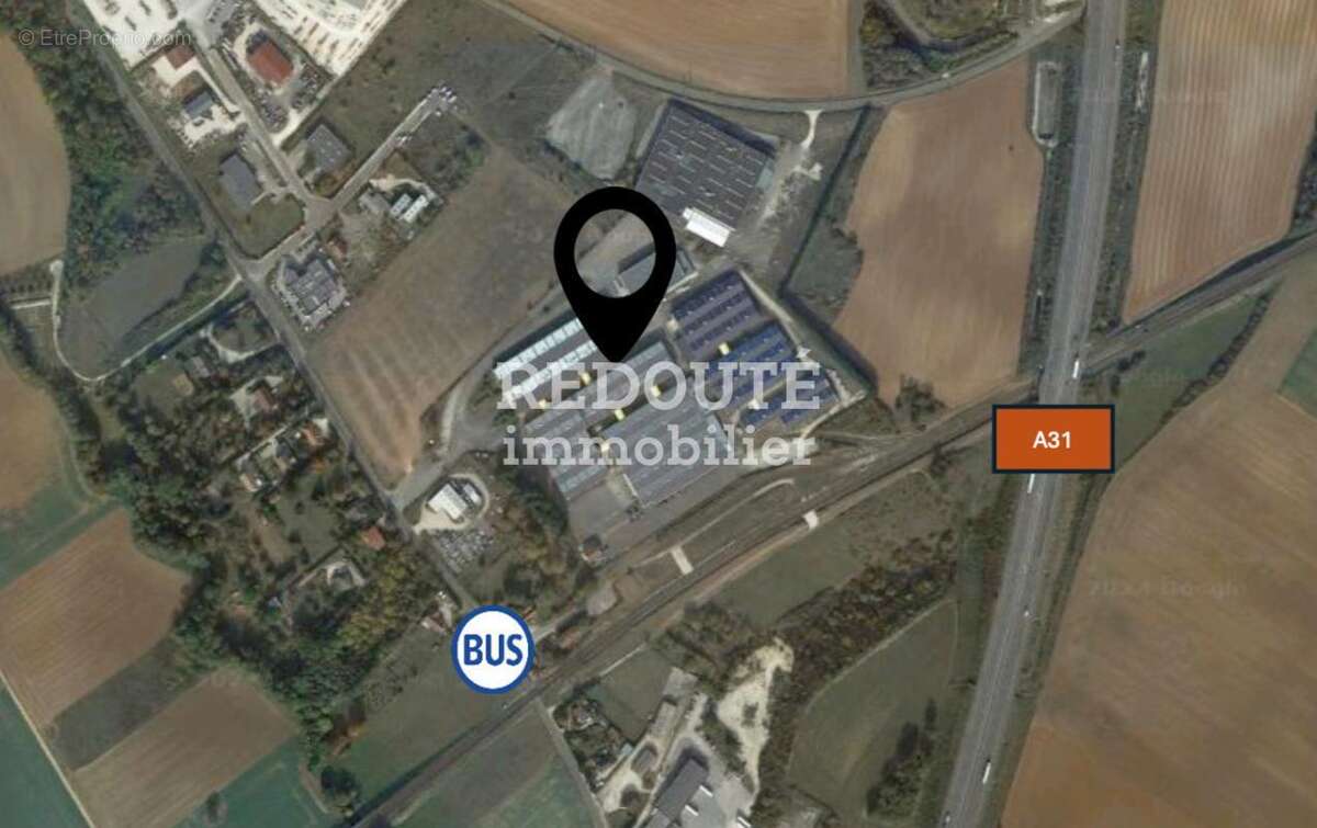 Commerce à SELONGEY