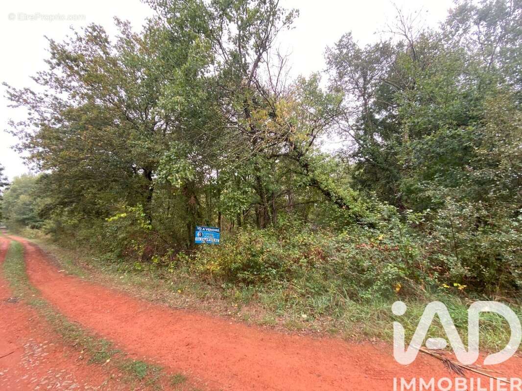 Photo 9 - Terrain à BEAUPREAU