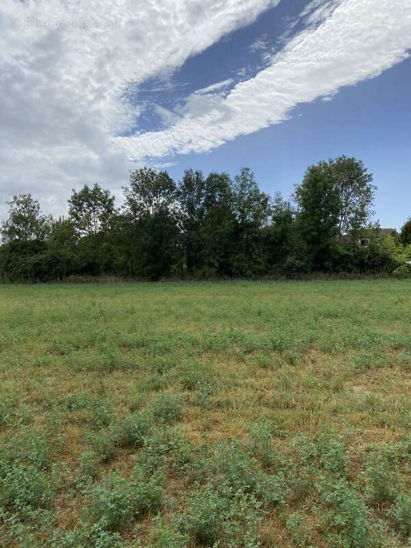 Terrain à GRANZAY-GRIPT