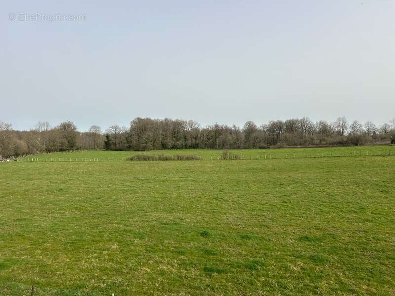 Maison à CHATEAUPONSAC