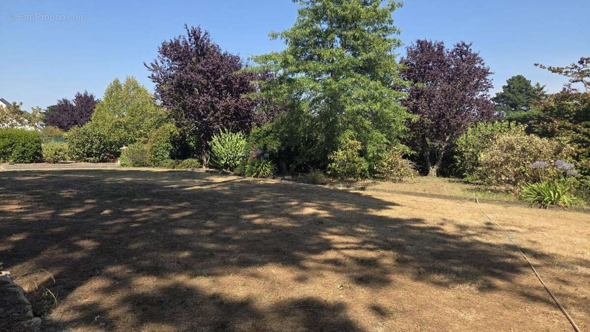 Terrain à GUERANDE