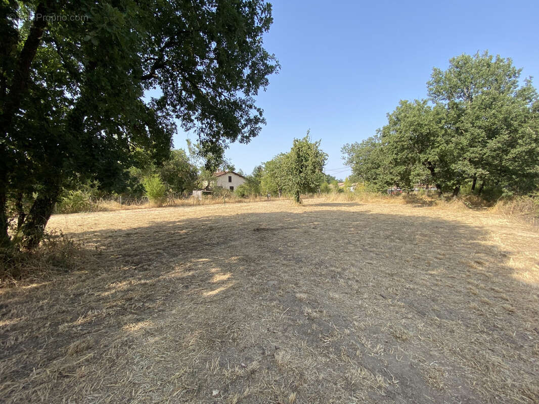 Terrain constructible à vendre   Larra (31)   1 066 m2 - photo 2