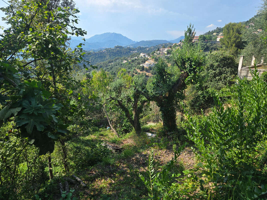 Terrain à CASTAGNIERS