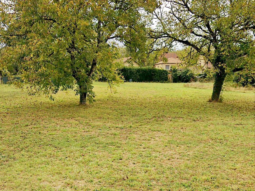 Terrain à SAINT-JULIEN-DE-LAMPON