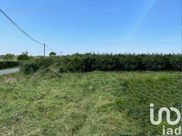 Photo 5 - Terrain à SAINT-MICHEL-CHEF-CHEF