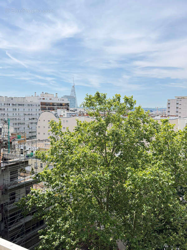 Studio avec terrasse, vue Tour Eiffel - Saint- Lambert paris 15 - photo 6