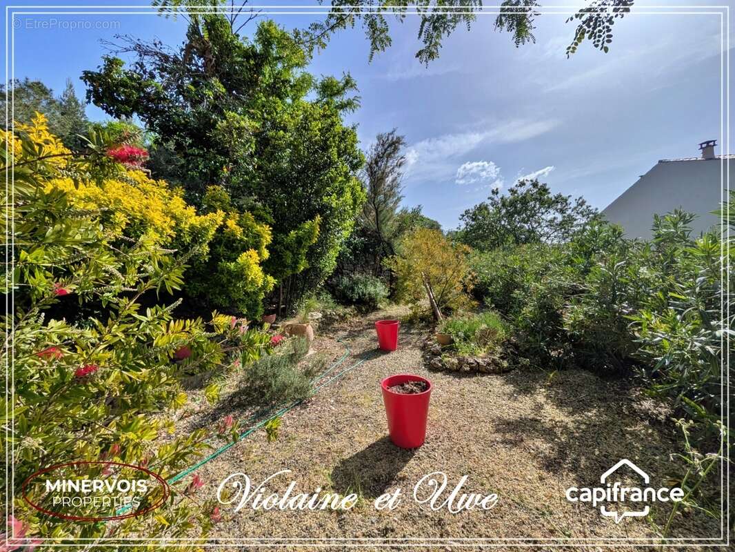 Maison vigneronne de caractère avec jardin, spa, hammam et grand garage – Au cœur du Minervois - photo 6