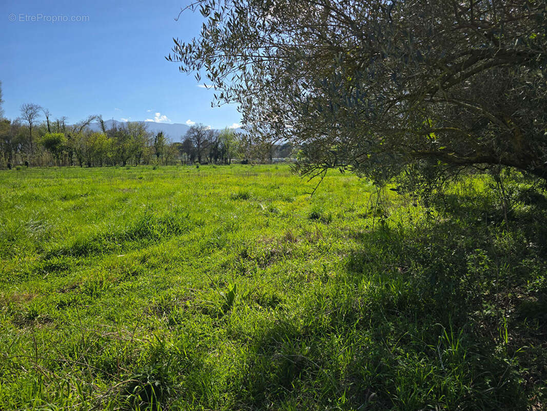 Terrain à ARGELES-SUR-MER
