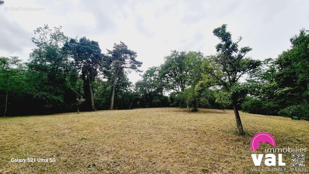 Terrain à MAISSE
