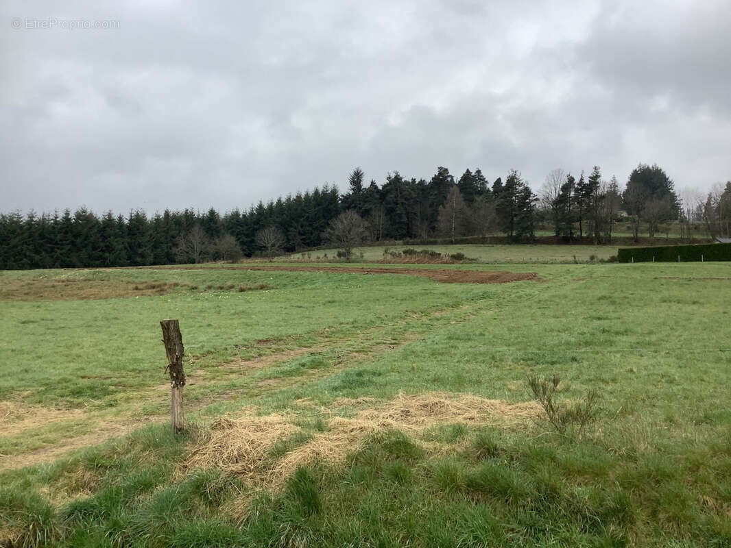 Terrain à TENCE