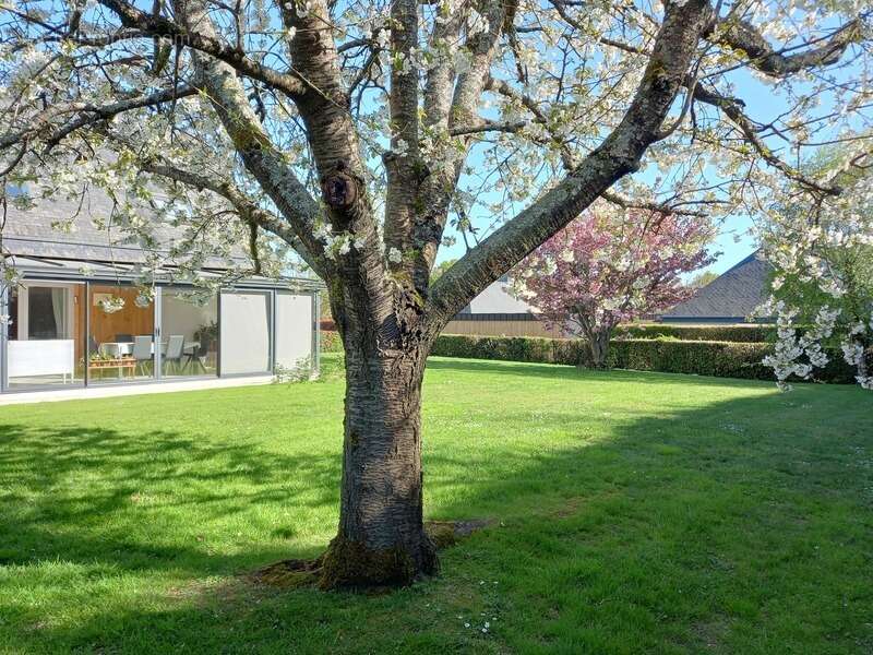 Maison à BONCHAMP-LES-LAVAL