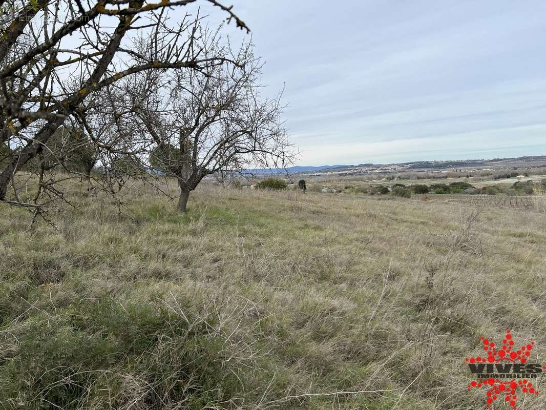 Terrain à MARAUSSAN