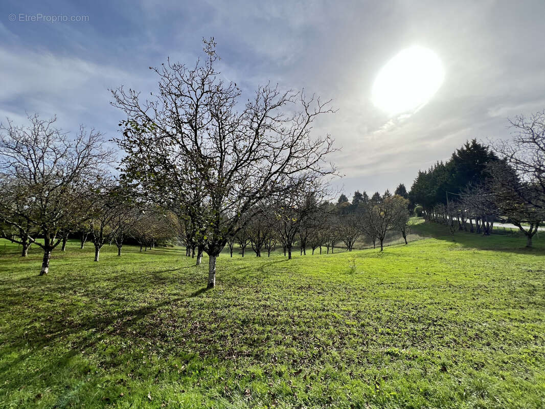 Terrain à TERRASSON-LAVILLEDIEU