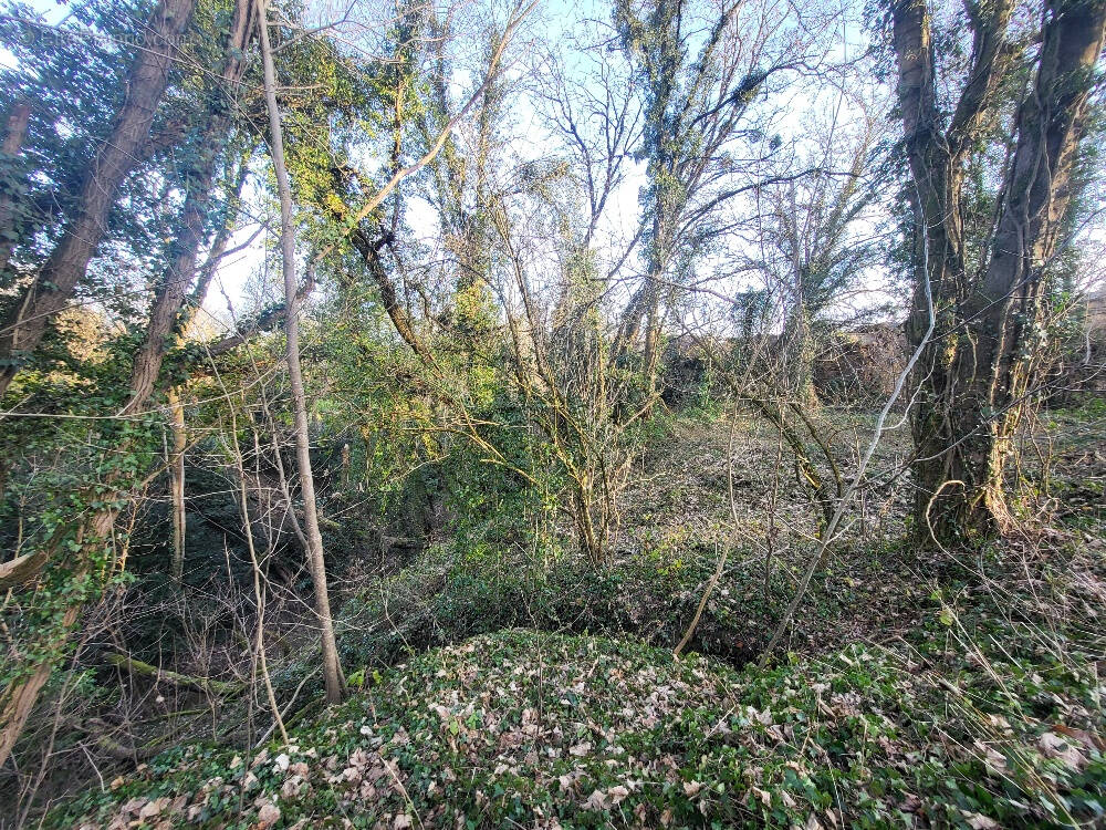 Terrain à MOGNENEINS