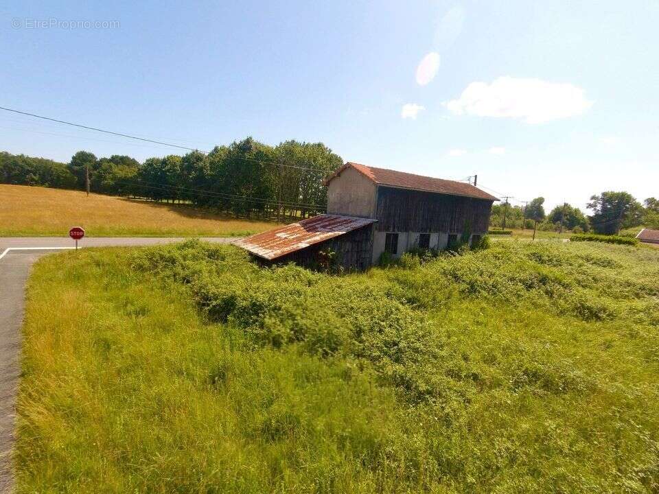 SECHOIR - STOCKAGE - MARAICHER - ARTISAN - NON CONSTRUCTIBLE  - - Maison à GRIGNOLS