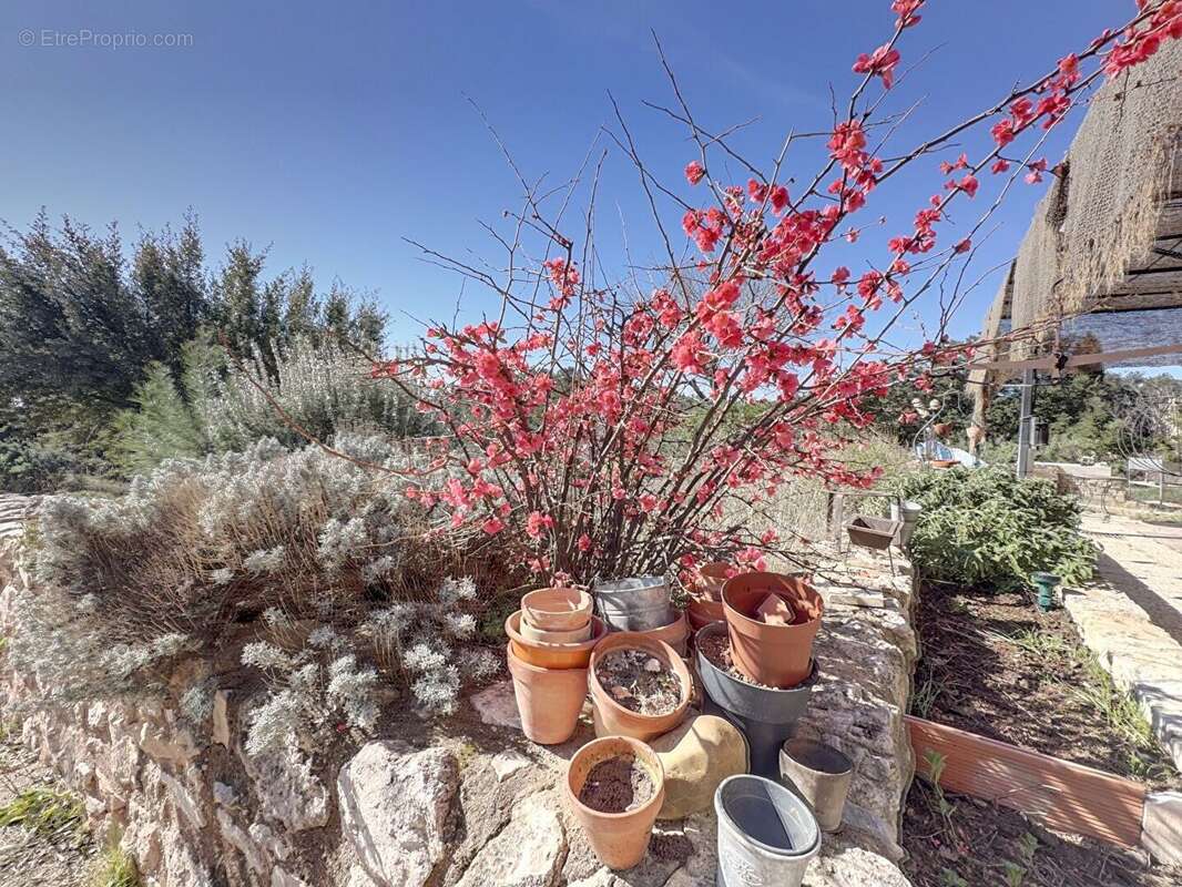 Appartement à MOURIES