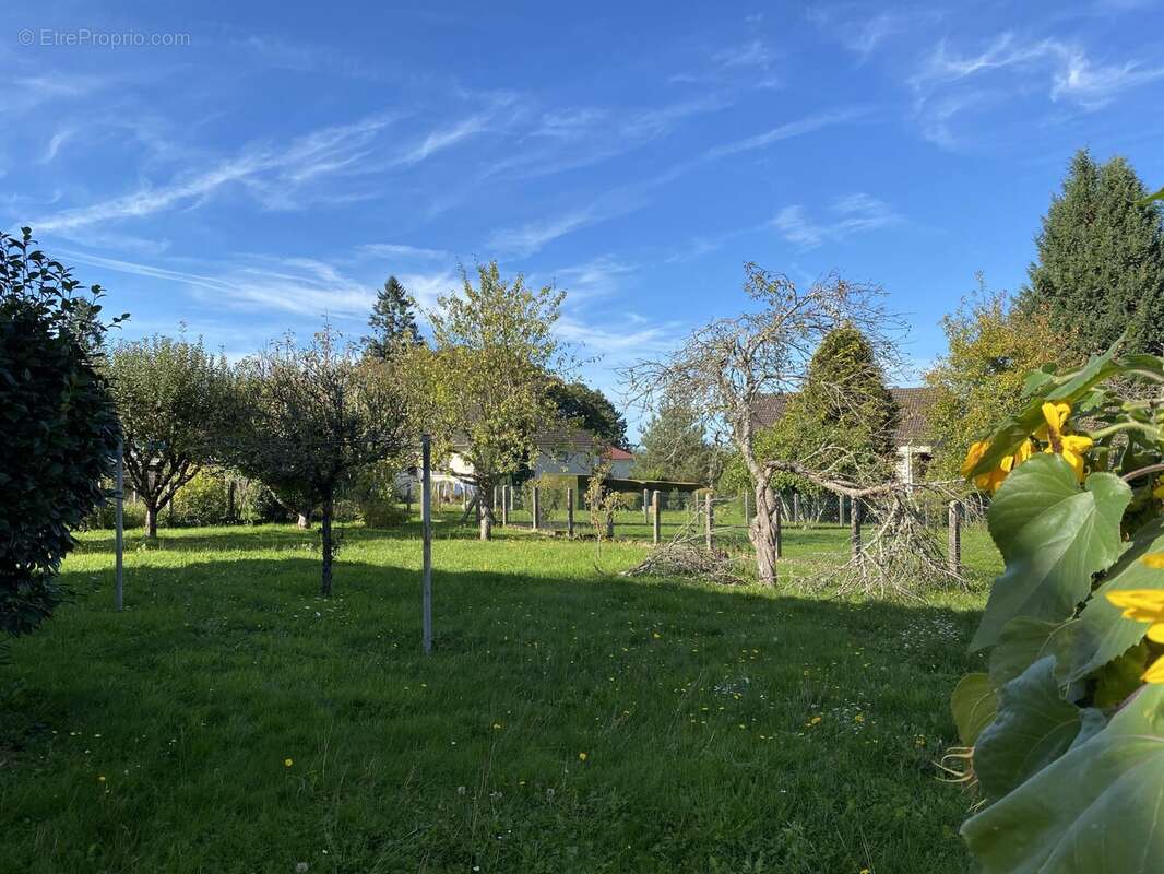 Maison à CHATEAUNEUF-LA-FORET