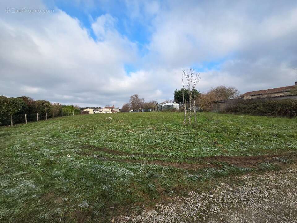 Terrain à CHAZEY-SUR-AIN