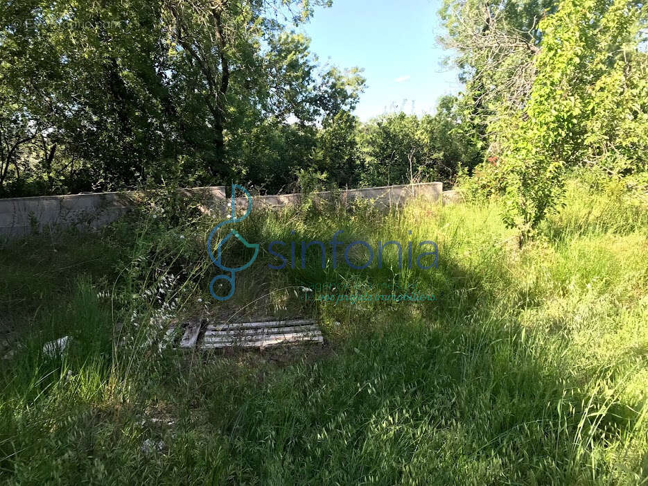 Saint-jean-de-védas   propriété rare à réhabiliter sur 4 835 m2 - photo 7
