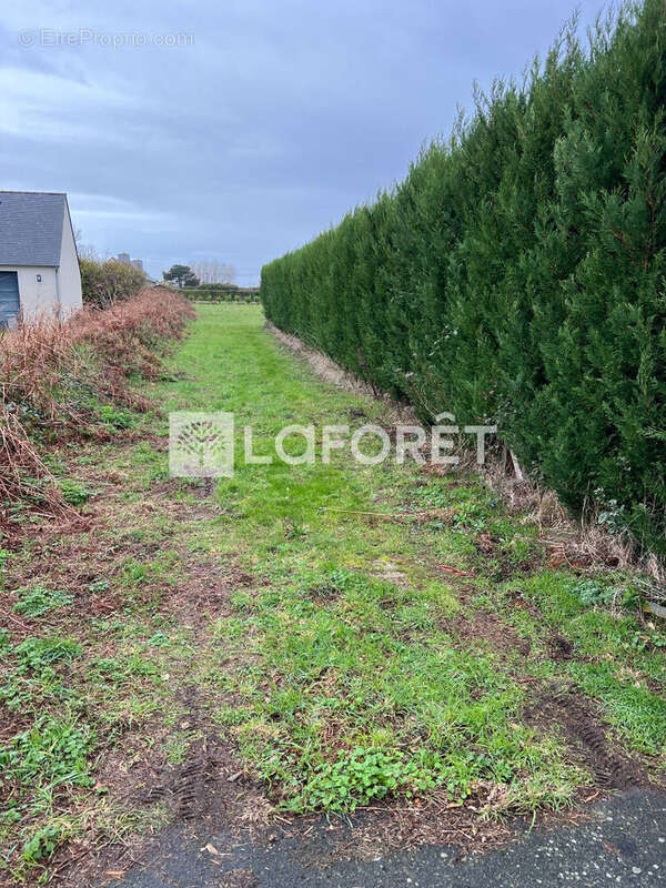Terrain à bâtir Pleubian 1800 m2 - photo 6