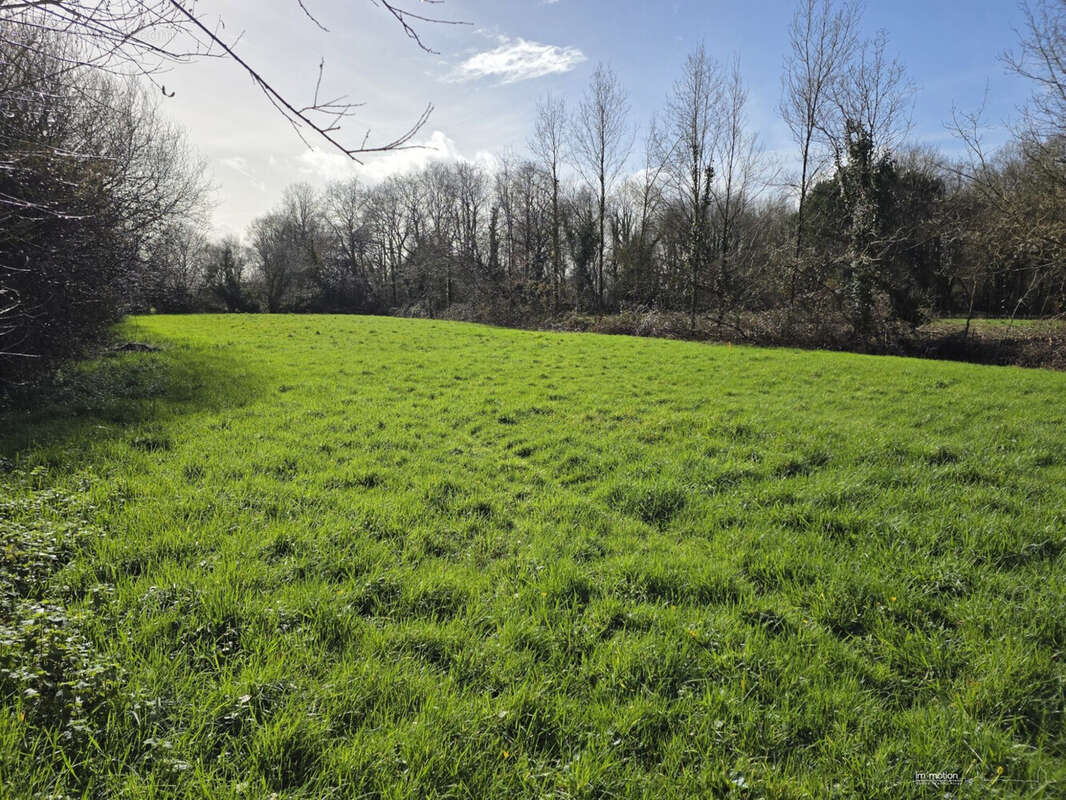 Terrain à NOTRE-DAME-DES-LANDES