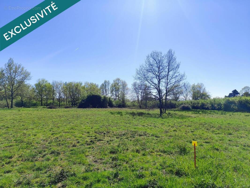 Photo 1 - Terrain à CASTELSARRASIN