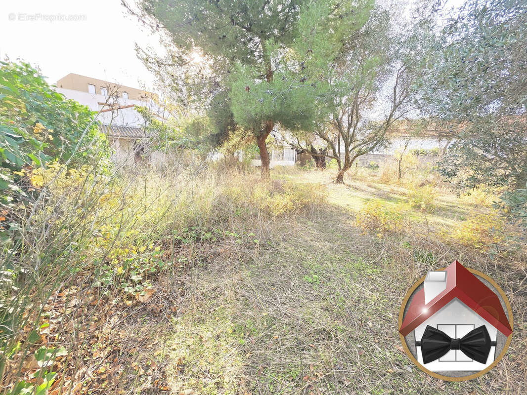 Terrain à FRONTIGNAN