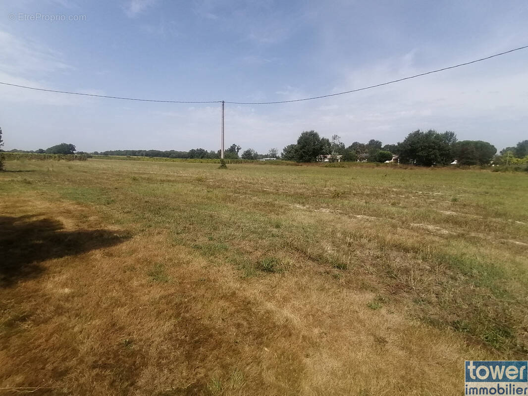 Terrain à BRESSOLS