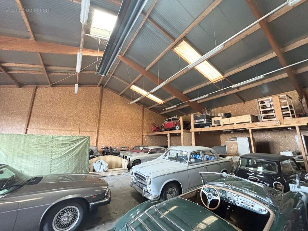 Commerce à MILLY-LA-FORET