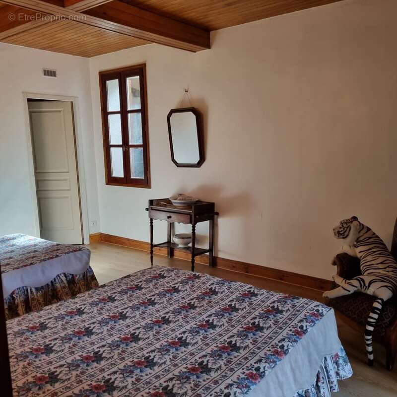Maison 300 m² à Marignac-Laspeyres  - photo 5