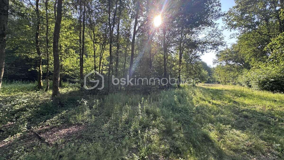 Terrain de loisirs, enclos pour chevaux - photo 5
