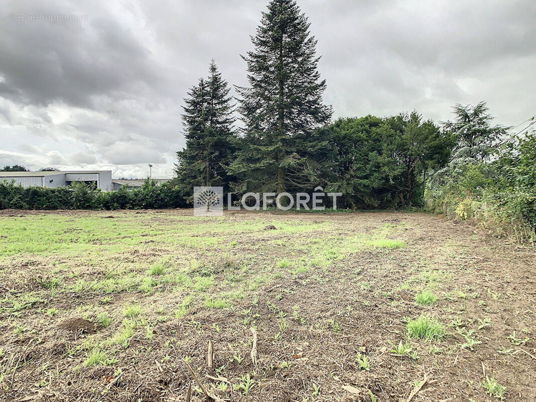 Terrain à MERDRIGNAC
